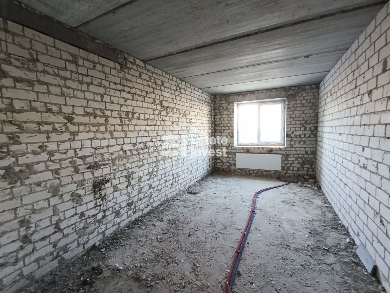 photo_2_2025-10-28_12-22-19