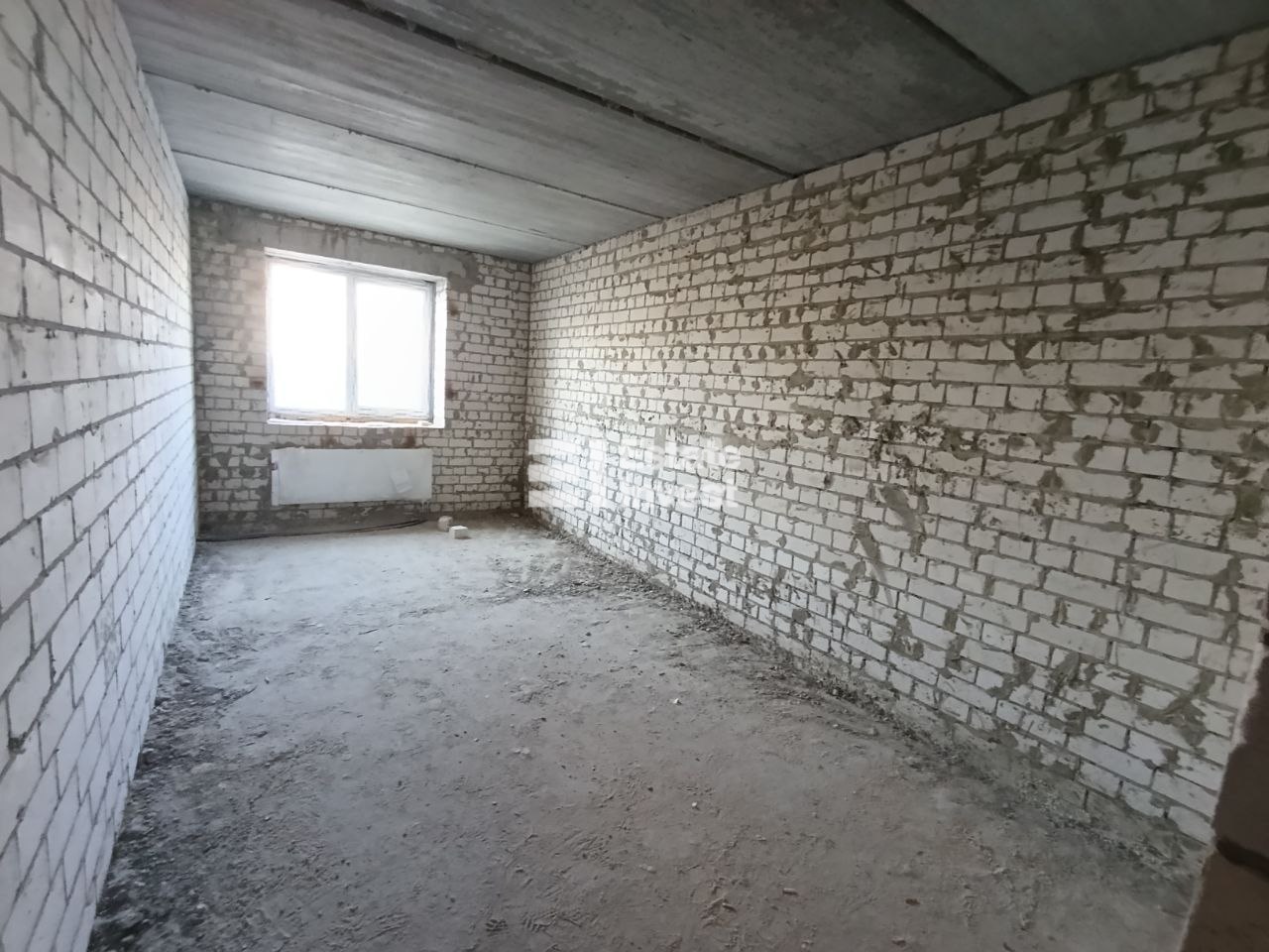 photo_5_2025-10-28_12-22-19