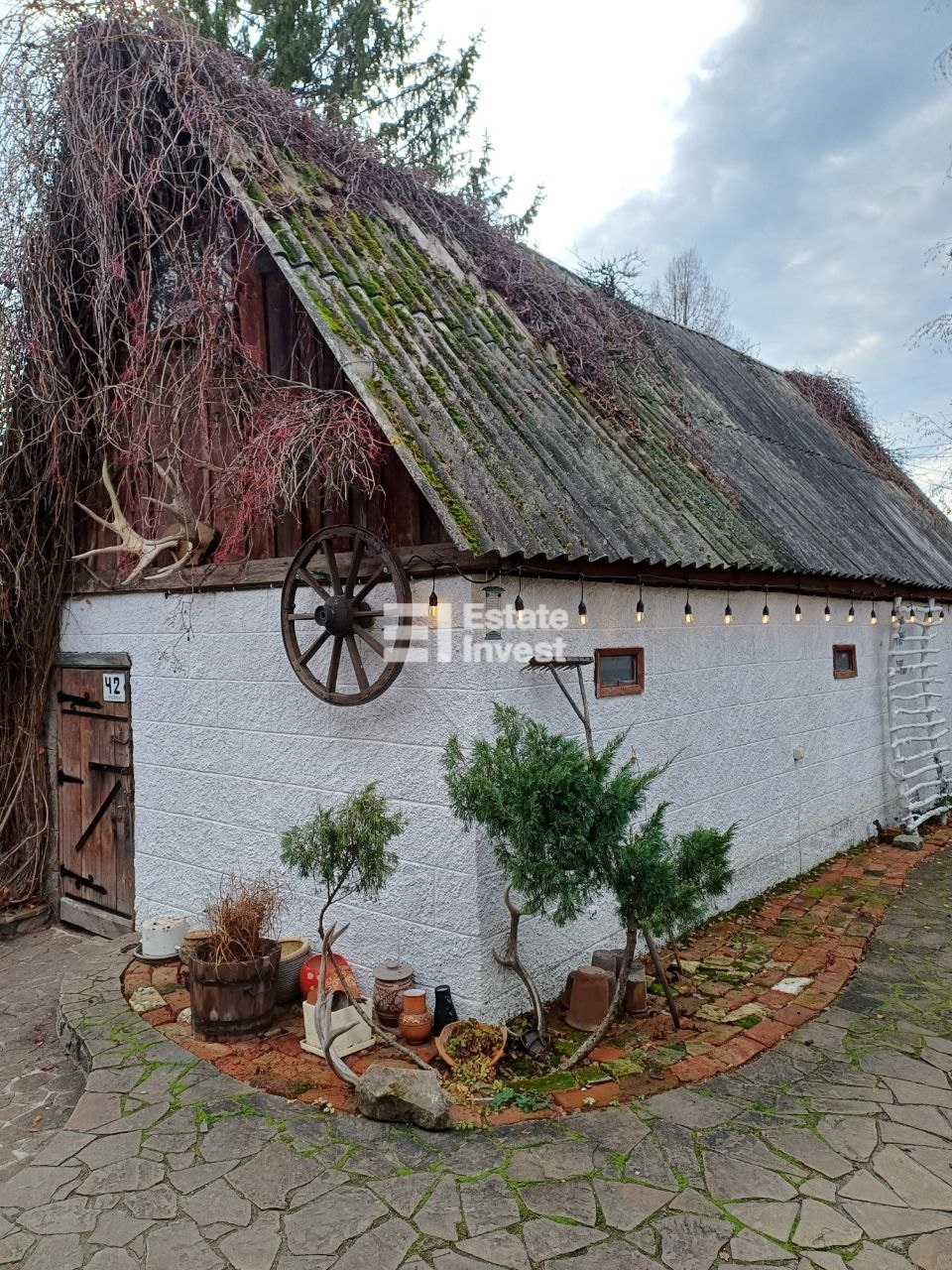 photo_8_2025-11-17_14-38-13