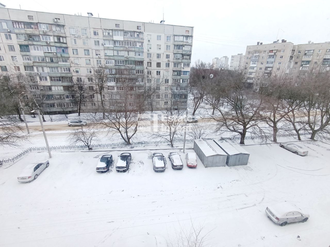 photo_13_2026-02-19_13-56-14