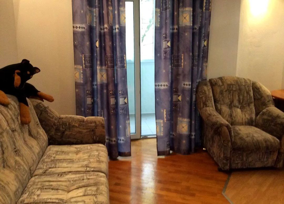 photo_2026-02-18_15-17-35