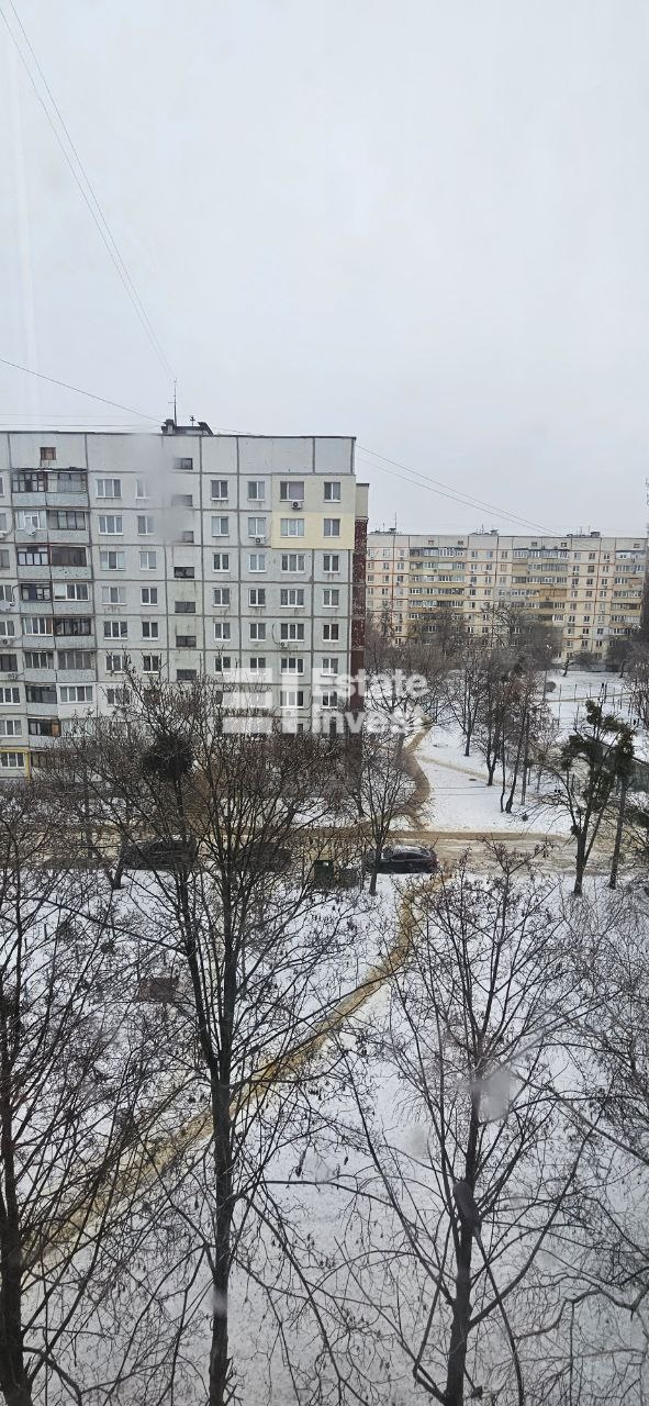 photo_5_2026-02-23_16-17-38