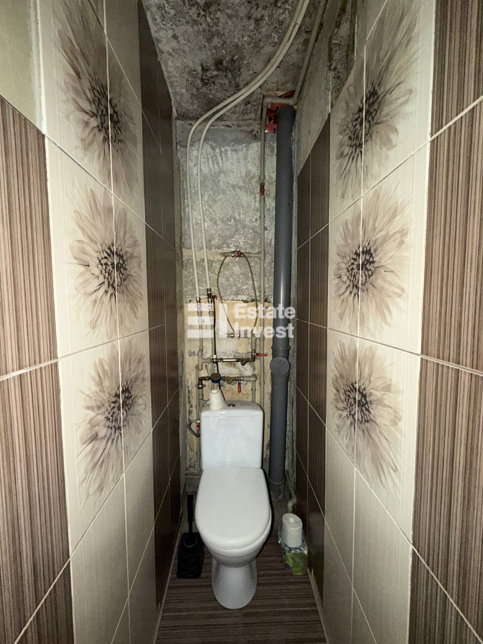 photo_6_2026-02-19_12-36-41