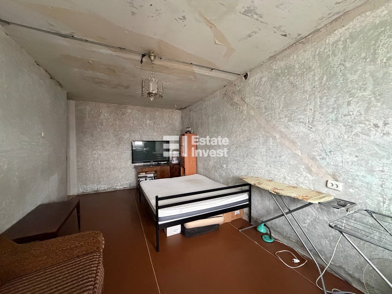 photo_9_2026-02-19_12-36-41