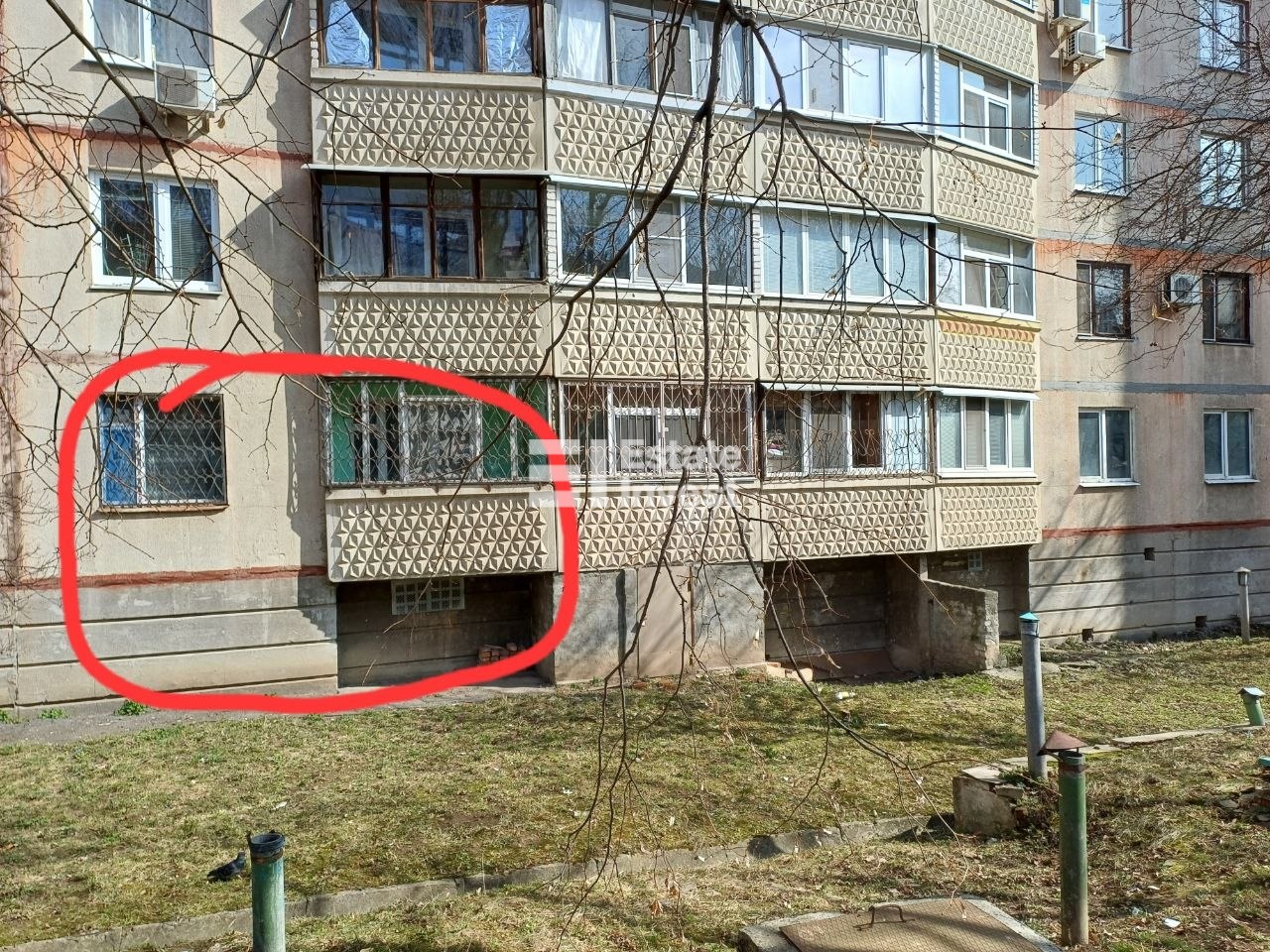 photo_12_2026-03-23_12-42-22