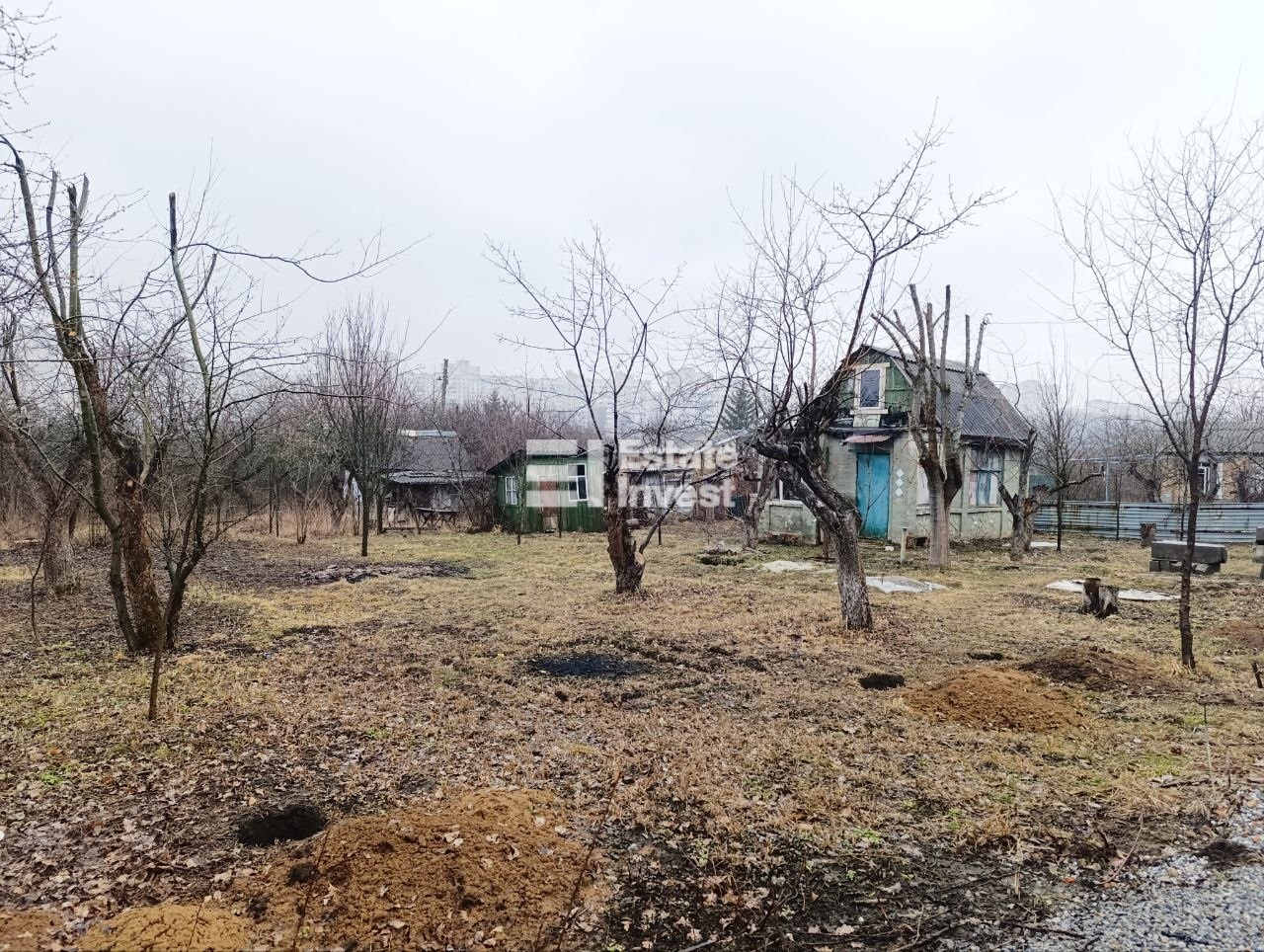 photo_1_2026-03-22_21-36-06