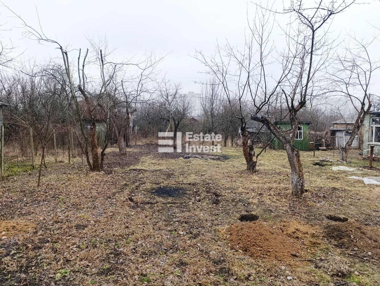 photo_2_2026-03-22_21-36-06