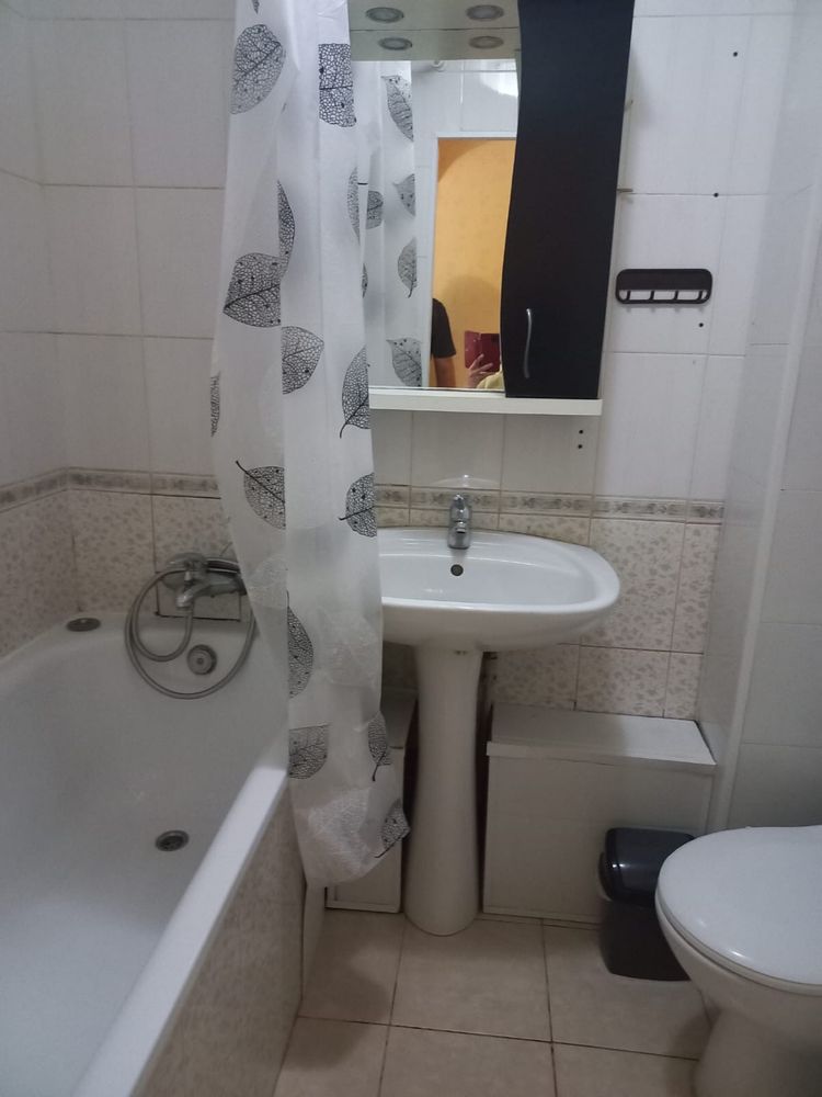 2810374356